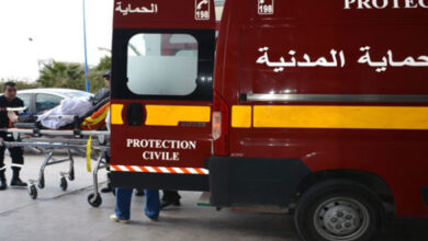 الحماية المدنية: 501 تدخلا في ال24 ساعة الماضية - المصدر تونس