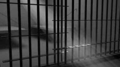 السجن لشاب دلّس وروّج عملة مزيفة في الفضاءات التجارية..وهذه التفاصيل.. - المصدر تونس