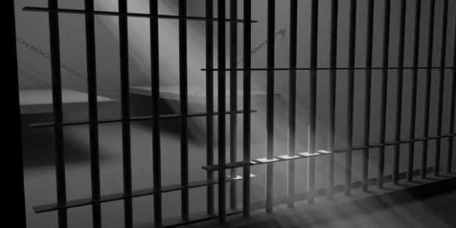 السجن لشاب دلّس وروّج عملة مزيفة في الفضاءات التجارية..وهذه التفاصيل.. - المصدر تونس