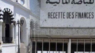 وزارة المالية تفسر الامتيازات الجبائية الجديدة لتشجيع التنقل الكهربائي وتصنيع بطاريات الليثيوم في تونس - المصدر تونس