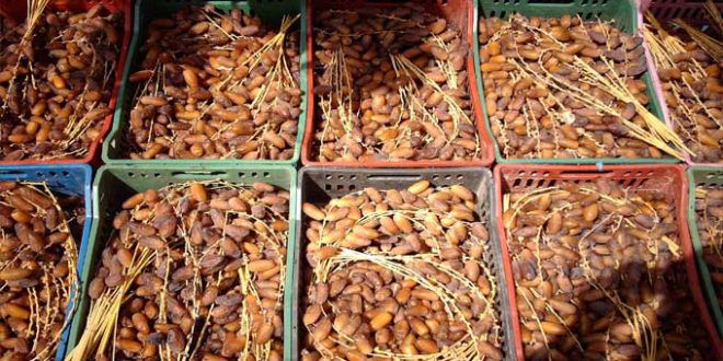 صادرات التمور التونسية تحقق نموا ملحوظا في الكميات والقيمة خلال موسم 2025/2026 - المصدر تونس