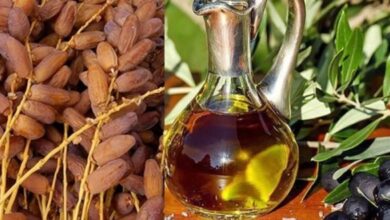 على رأسها زيت الزيتون والتمور: صادرات تونس نحو المغرب تصل إلى 973 مليون دينار في 2025.. - المصدر تونس