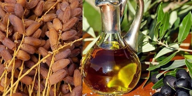 على رأسها زيت الزيتون والتمور: صادرات تونس نحو المغرب تصل إلى 973 مليون دينار في 2025.. - المصدر تونس