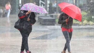 عاجل/ تقلبات جوية وطقس بارد بداية من الغد.. - المصدر تونس