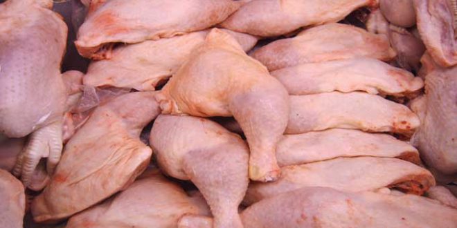 بشرى للمواطنين..نحو انخفاض أسعار الدواجن.. - المصدر تونس