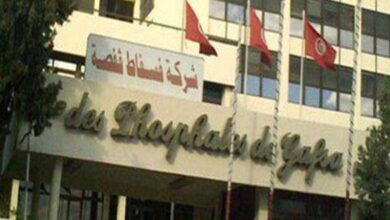 مدير عام شركة فسفاط قفصة : عديد القروض لم تترجم إلى إنجازات ملموسة - المصدر تونس