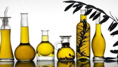 التبادل التجاري بين تونس والأردن يرتفع بنسبة 135 بالمائة مدفوعا بصادرات زيت الزيتون - المصدر تونس