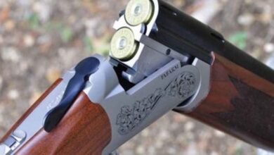 عاجل/ فاجعة تهز هذه الولاية..شاب ينهي حياة زوجة والده بطلق ناري..! - المصدر تونس