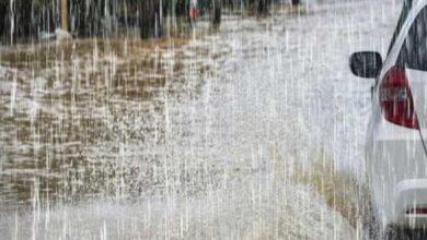 عاجل/ بداية من اليوم..تقلبات جوية.. - المصدر تونس