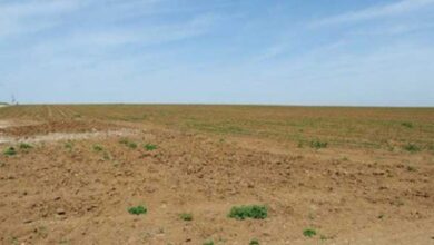 وزارة أملاك الدولة تنشر قائمة العقارات الدولية الفلاحية المعروضة للكراء بالمراكنة للشركات الأهلية - المصدر تونس