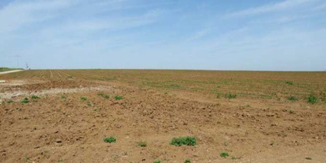 وزارة أملاك الدولة تنشر قائمة العقارات الدولية الفلاحية المعروضة للكراء بالمراكنة للشركات الأهلية - المصدر تونس