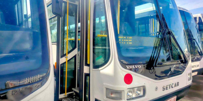 بشرى سارة لأهالي هذه الجهة: 9 حافلات مزدوجة جديدة.. - المصدر تونس