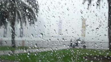 عاجل/ تقلبات جوية اليوم وغدا..ووزارة الفلاحة تحذر.. - المصدر تونس