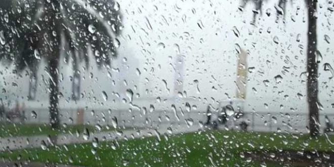 عاجل/ تقلبات جوية اليوم وغدا..ووزارة الفلاحة تحذر.. - المصدر تونس