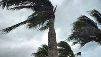 رياح قوية ودعوة لمستعملي الطريق بهذه الولاية للحذر..#خبر_عاجل - المصدر تونس