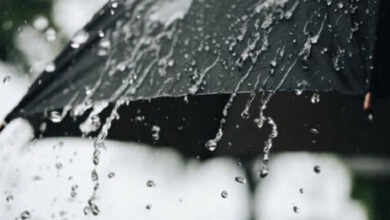 طقس اليوم..أمطار متفرقة بهذه المناطق..#خبر_عاجل - المصدر تونس