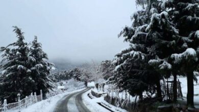 منخفض جوي وثلوج: خبير يكشف تفاصيل الحالة الجوية “النادرة” التي تعيشها تونس..#خبر_عاجل - المصدر تونس