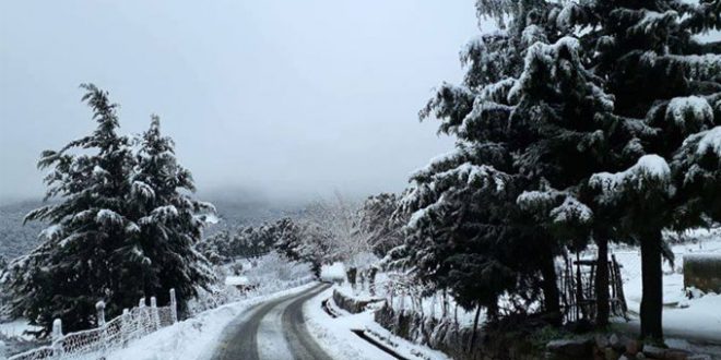منخفض جوي وثلوج: خبير يكشف تفاصيل الحالة الجوية “النادرة” التي تعيشها تونس..#خبر_عاجل - المصدر تونس