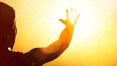 من أفريل إلى جوان 2026..توقعات بتسجيل درجات حرارة أعلى من المعدلات.. - المصدر تونس