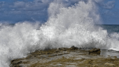 بسبب التقلبات الجوية المتواصلة: تحذير جديد للبحارة والفلاحة..#خبر_عاجل - المصدر تونس