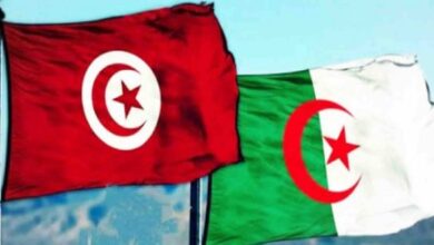 الدربالي يلتقي في الجزائر وزيري المحروقات والمناجم، والطاقة والطاقات المتجددة - المصدر تونس