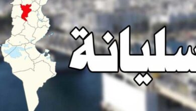 سليانة: النظر في وضعية عدد من مجامع التنمية في القطاع الفلاحي ذات الصبغة المائية - المصدر تونس