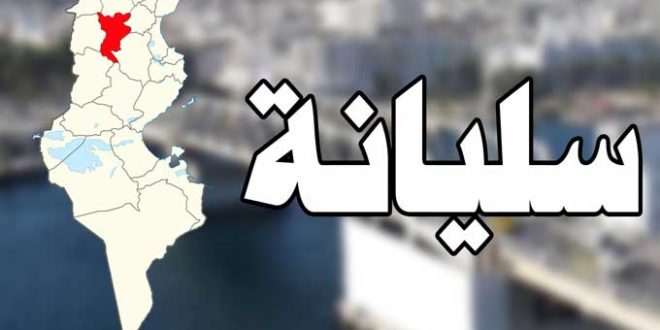 سليانة: النظر في وضعية عدد من مجامع التنمية في القطاع الفلاحي ذات الصبغة المائية - المصدر تونس