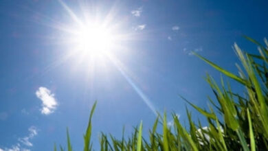 تحسن الوضع الجوي..والطقس ربيعي الأسبوع القادم.. - المصدر تونس