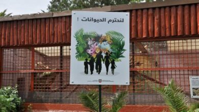 غلق حديقة “البلفيدير” لمدة شهر..وهذه التفاصيل.. - المصدر تونس