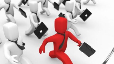 عاجل/ وزير التشغيل يعلن عن بشرى سارة.. - المصدر تونس