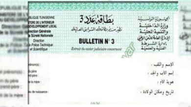 وزير الداخلية يحسم الجدل بخصوص تأخر استخراج البطاقة عدد 3 لبعض المواطنين ويكشف.. - المصدر تونس
