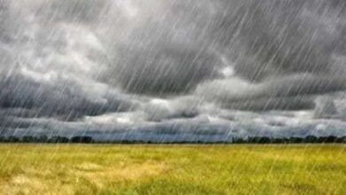 عاجل/ الرصد الجوي يصدر نشرة متابعة وينبه.. - المصدر تونس