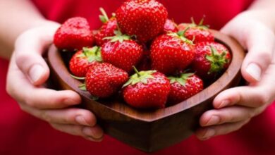 اشكاليات صحية في صابة “الفراز” لهذا الموسم: مسؤول يكشف الحقيقة ويوضح..#خبر_عاجل - المصدر تونس