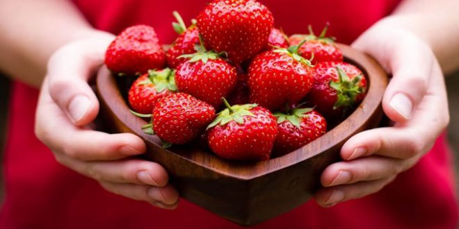 اشكاليات صحية في صابة “الفراز” لهذا الموسم: مسؤول يكشف الحقيقة ويوضح..#خبر_عاجل - المصدر تونس