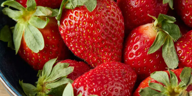 عاجل/ وزارة الصحة تحسمها بخصوص الجدل حول سلامة الفراز المعروض في الأسواق.. - المصدر تونس