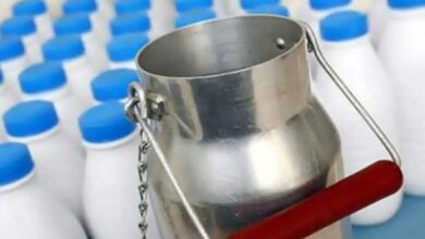 عاجل/ هيئة سلامة المنتجات الغذائية تأمر بحجز وإيقاف توزيع كميات من الحليب..وهذه التفاصيل.. - المصدر تونس