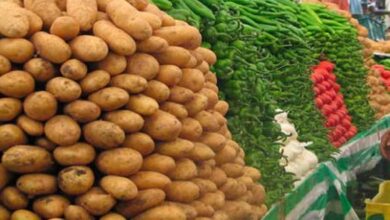 بشرى سارة للمواطنين..أخيرا انفراجة في الأسعار..#خبر_عاجل - المصدر تونس