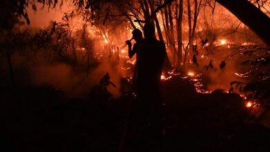 اندلاع حريق في احدى غابات طبرقة بسبب صاعقة رعدية قوية.. - المصدر تونس