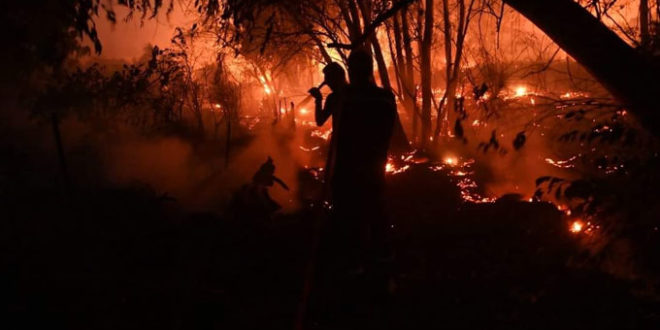 اندلاع حريق في احدى غابات طبرقة بسبب صاعقة رعدية قوية.. - المصدر تونس