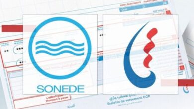 يهم خلاص الفواتير/ ولاية أريانة تُقرّب الخدمات من المواطنين وتعلن عن إجراء جديد.. - المصدر تونس