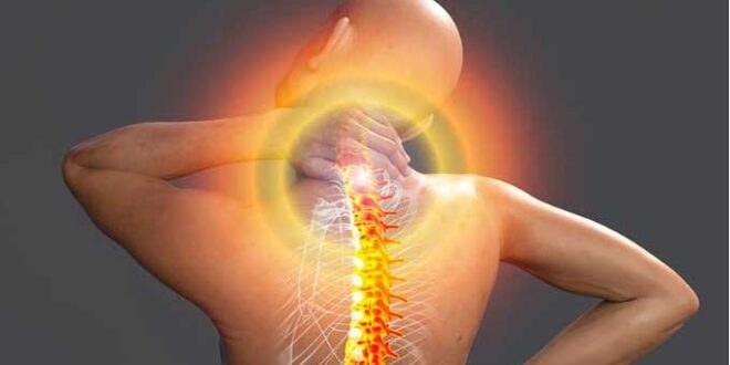 أخصائية أمراض الروماتيزم توضح أعراض متلازمة الألم العضلي الليفي - المصدر تونس