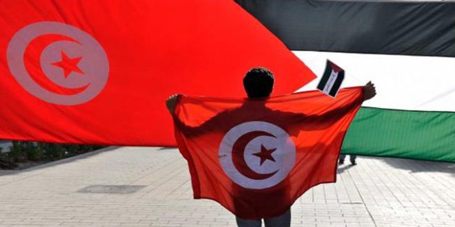 في الذكرى 78 للنكبة: تونس تجدد دعمها غير المشروط للشعب الفلسطيني.. - المصدر تونس